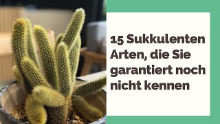 15 Sukkulenten Arten die Sie garantiert noch nicht kennen [upl. by Erialb]