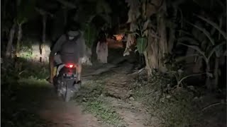 Ojol dihadang kuntilanak dihutan  Ghost Sightings [upl. by Viafore]