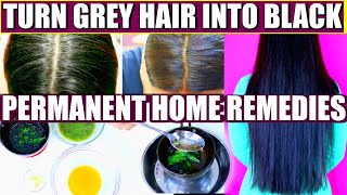 How To Turn Grey Hair Into Black Permanently  SuperPrincessjo [upl. by Isidro]