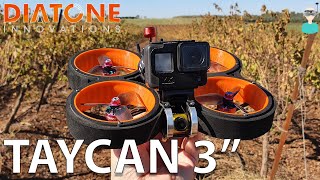 Diatone MXC TAYCAN Ducted 3quot MegaWhoop  Overview amp 4K Flight Footage [upl. by Santiago949]