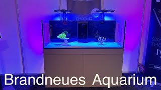 Vivarium 2024 Das neue Giesemann MeerwasserAquarium CHROMA [upl. by Crespi]