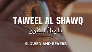 Taweel Al Shawq  Slowed  Reverb 💙 [upl. by Calle726]