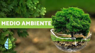 ¿QUÉ ES EL MEDIO AMBIENTE  Definición y resumen [upl. by Odysseus]