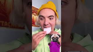 COTTON CANDY TEETH THATS NEW 🦷😉 funnyanimals cottoncandy reaction dog [upl. by Terrill]