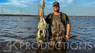 Wading Stump Flats For Mississippi Crappie [upl. by Ritz]