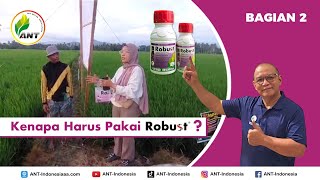 KENAPA HARUS PAKAI ROBUST INI JAWABANNYA BAGIAN 2 [upl. by Atinrev]