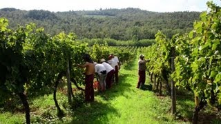 Retro cyclists turn heads in Tuscany [upl. by Oidale662]