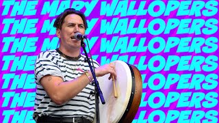 The Mary Wallopers Perform The Holy Ground Live At TRNSMT  TRNSMT 2023  BBC Scotland [upl. by Valenba]