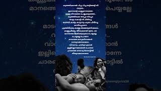 manathe marikurumbe song Lyrics pulimuruganmoviesong malayalamsonglyrics viralsong emotionalsong [upl. by Eiramllij]