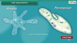 Do All Organisms Show Growth  Cell Organisation  Chapter 10  Science  Class 6  iPrep [upl. by Leirad]