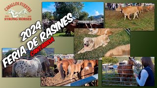 💪🐎🏔️FERIA DE RASINES 2024🏔️🐎 horse horsebreed caballos horselovers [upl. by Germana]