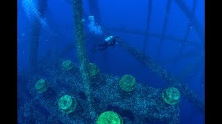 Rigs to Reef Decommissioning oil and gas platforms into artificial reefs [upl. by Peggi]