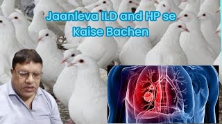 Jaanleva Interstitial Lung Disease ILD and Hypersensitive Pneumonitis se Kaise Bachen pigeon HP [upl. by Umeko]