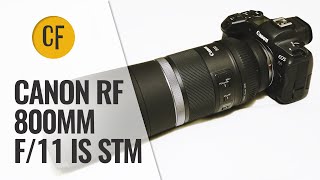 Canon RF 800mm f11 IS STM lens review with samples [upl. by Grimaldi]