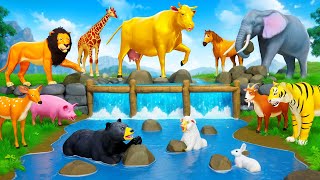 Golden Cow Leads Farm Animals in Water Pool Diorama Adventure  Funny Animals 2024 Cartoons [upl. by Nepil79]