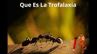 QUE ES LA TROFALAXIA [upl. by Ogires]