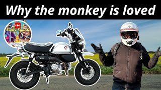 Fat Bloke on a little Honda Monkey 125 [upl. by Pen]