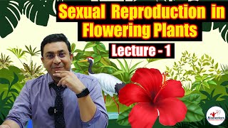 Sexual Reproduction in Flowering Plants l Lecture 1 l Biology l NEET [upl. by Paapanen]