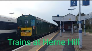 Trains at Herne Hill April 2024 [upl. by Aeynod]