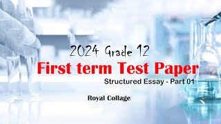 2024 RC Grade 12  SE Part 01 [upl. by Bea213]