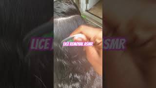 Lice Removal ASMR l small business explore hair nomorelice [upl. by Ayocal127]