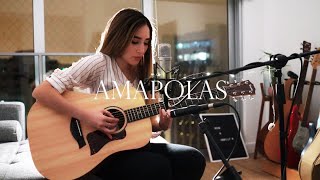 Amapolas  Leo Rizzi cover acústico [upl. by Wynny]