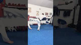 Gedan Mawashi Geri  Ushiro Geri karate padwork martialarts [upl. by Anaiviv]