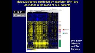 Interferon in Systemic Lupus Friend or Foe [upl. by Akeenahs]