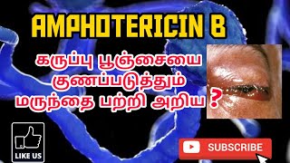 AMPHOTERICIN B  USES  MOA  SIDE EFFECTS  PHARMA TAMIL  AK  29 [upl. by Bourgeois]