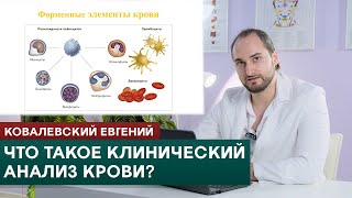 Что такое клинический анализ крови Онлайнкурс по нутрициологии Ковалевский Евгений [upl. by Caasi764]