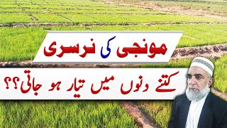 What is the proper age of Rice nursery to cultivate  Crop Reformer [upl. by Kcirted839]