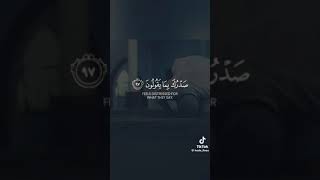 عظمه القرآن [upl. by Aernda]