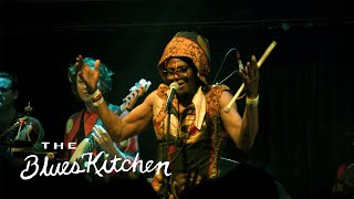 Antibalas ‘Dirty Money’ Live Performance  The Blues Kitchen Presents [upl. by Ongun]