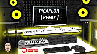 PICAFLOR  REMIX   Abdi Ft Indiomar  Jay Kalyl  LUKIITAS DEEJAY [upl. by Naerb533]