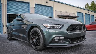 Test Driving 2016 Stage 2 Procharged Mustang GT 50L [upl. by Geehan188]