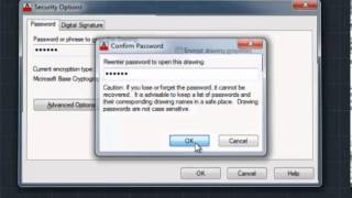 Protect AutoCAD File with Password [upl. by Mort266]