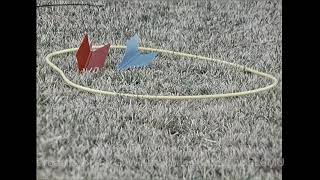 WFAA Report on Lawn Darts  December 1970 [upl. by Yessej609]