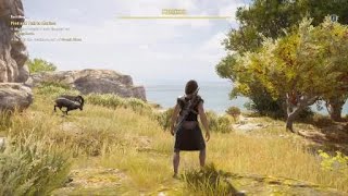 Assassins Creed® Odyssey  New Location Discovered Wolf Cavern [upl. by Artemus115]