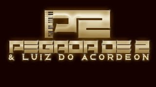 PEGADA DE 2 E LUIZ DO ACORDEOR CD PROMOCIONAL 2024 [upl. by Ddart]