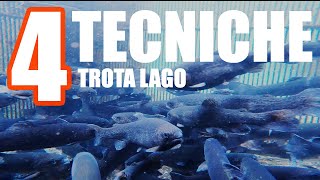 COME PESCARE LA TROTA IN LAGHETTO  4 TECNICHE messe in PRATICA [upl. by Okime]