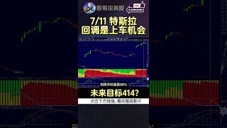 【特斯拉回调就是上车机会】未来目标414？特斯拉特斯拉股票 美股 股哥说美股 tesla 马斯克 美股复盘 [upl. by Blanche]