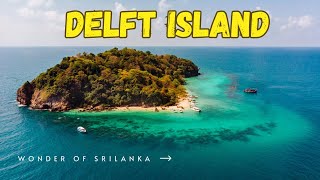 Travel vlog Delft island Wonders of Sri lanka [upl. by Arbua]