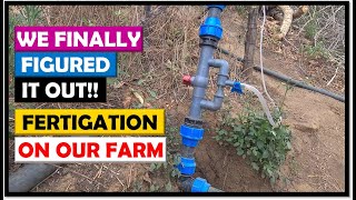 Vegetable Farming in Zambia How We Use A Venturi Injector To Fertigate Our Crops [upl. by Egidio]