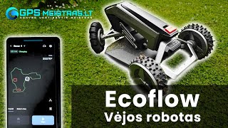 Vejos robotas Ecoflow  pirmas paleidimas [upl. by Assecnirp389]