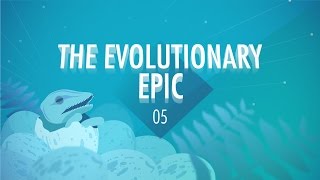 The Evolutionary Epic Crash Course Big History 5 [upl. by Arelc]