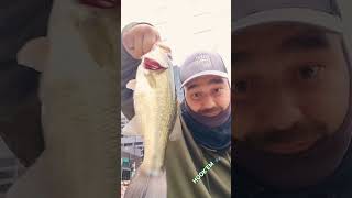 8 Downtown Chicago River Bass 🎣 Ned rig minnow crawl Tap the like and subscribe button [upl. by Ladnyc]