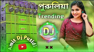 Superhit Nonstop Dj Song New 2025  Purulia New Song 2024 DJ Remix  Amit Dj Putidi [upl. by Anilec]