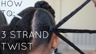 How To 3 Strand Twist  Step by Step [upl. by Martell424]