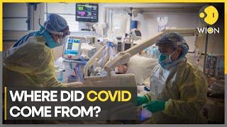 Covid origin China began developing two vaccines before official outbreak  English News  WION [upl. by Kcirrem]