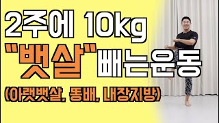 2주에 10kg 다이어트 뱃살빼는운동feat아랫뱃살내장지방똥배 빼는 운동  STANDING ABS WORKOUT [upl. by Egap439]